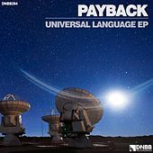 Thumbnail for the Payback - Universal Language link, provided by host site