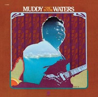 Thumbnail for the Muddy Waters - Unk In Funk link, provided by host site