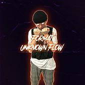 Thumbnail for the The Format - Unknown Flow link, provided by host site