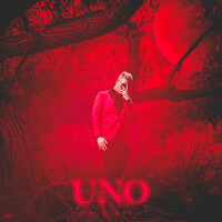 Thumbnail for the DAKO - UNO link, provided by host site