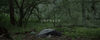 Thumbnail for the Robot Koch - Unpaved link, provided by host site