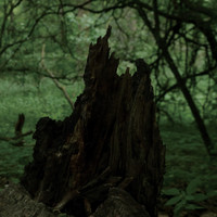 Thumbnail for the Robot Koch - Unpaved link, provided by host site