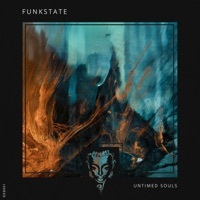 Thumbnail for the FunkState - Untimed Souls link, provided by host site