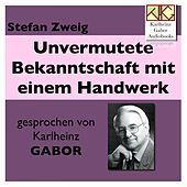 Thumbnail for the Stefan Zweig - Unvermutete Bekanntschaft mit einem Handwerk link, provided by host site