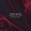 Thumbnail for the Synthek - Unwise Remix Series 1 link, provided by host site