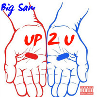 Image of Big Sam linking to their artist page due to link from them being at the top of the main table on this page