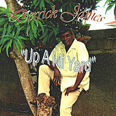 Thumbnail for the Derrick James - Up a Mi Yard link, provided by host site