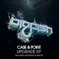 Thumbnail for the Case - Upgrade link, provided by host site