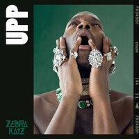 Image of Zebra Katz linking to their artist page due to link from them being at the top of the main table on this page