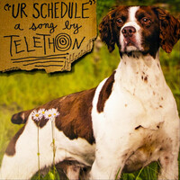 Thumbnail for the Telethon - Ur Schedule link, provided by host site