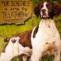 Thumbnail for the Telethon - Ur Schedule link, provided by host site