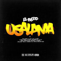 Thumbnail for the Lil Blood - Usalama link, provided by host site