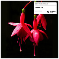 Thumbnail for the CID - Use Me Up (Extended Mix) link, provided by host site