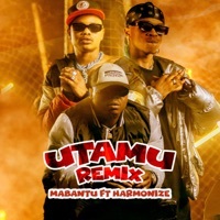 Thumbnail for the Mabantu - Utamu (Remix) link, provided by host site