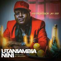Thumbnail for the Professor Jay - Utaniambia Nini link, provided by host site