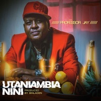 Thumbnail for the Professor Jay - Utaniambia Nini link, provided by host site