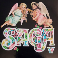 Thumbnail for the Saga - V link, provided by host site