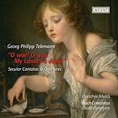 Image of Ewald Demeyere linking to their artist page due to link from them being at the top of the main table on this page