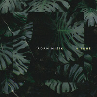 Thumbnail for the Adam Mišík - V tobě link, provided by host site