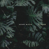 Thumbnail for the Adam Mišík - V Tobě link, provided by host site