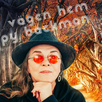 Thumbnail for the Py Bäckman - Vägen hem link, provided by host site