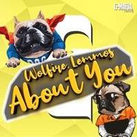 Thumbnail for the Wolfire - Vai link, provided by host site