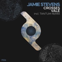 Thumbnail for the Jamie Stevens - Vale link, provided by host site