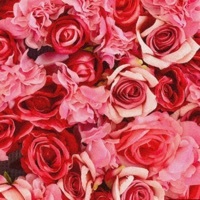 Thumbnail for the J-Von - Valentines link, provided by host site