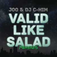Thumbnail for the Joo - Valid Like Salad (Remixes) link, provided by host site