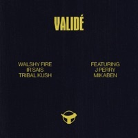 Thumbnail for the Walshy Fire - Validé link, provided by host site