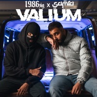 Thumbnail for the 1986zig - Valium link, provided by host site