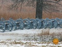 Thumbnail for the CBS Sunday Morning - Nature: Valley Forge link, provided by host site