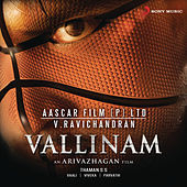 Thumbnail for the SS Thaman - Vallinam link, provided by host site