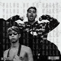 Thumbnail for the Tiago PZK - Valor de la Calle link, provided by host site