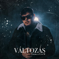 Thumbnail for the Ginoka - Változás link, provided by host site