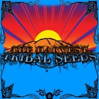 Thumbnail for the Tribal Seeds - Vampire link, provided by host site