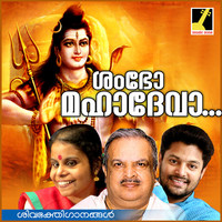 Thumbnail for the Vaikom Vijayalakshmi - Vandanam link, provided by host site