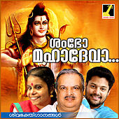 Image of Vaikom Vijayalakshmi linking to their artist page due to link from them being at the top of the main table on this page