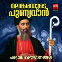 Image of Binoy Chacko linking to their artist page due to link from them being at the top of the main table on this page