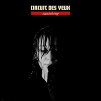 Thumbnail for the Circuit Des Yeux - Vanishing link, provided by host site
