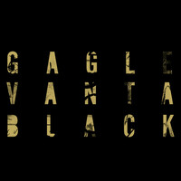 Thumbnail for the Gagle - VANTA BLACK link, provided by host site
