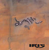 Thumbnail for the Iris! - Vão Dar Banhó Cão link, provided by host site