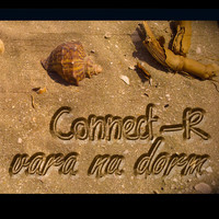 Thumbnail for the Connect-R - Vara Nu Dorm link, provided by host site