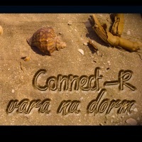 Thumbnail for the Connect-R - Vara Nu Dorm link, provided by host site