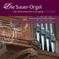 Thumbnail for the Marcel Dupré - Variation 1, Larghetto link, provided by host site