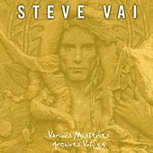 Thumbnail for the Steve Vai - Various Mysteries Archives Vol. 3.5 link, provided by host site