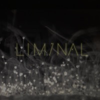 Thumbnail for the Chris Watson - Vatnajökull (Liminal Remix) link, provided by host site