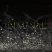 Thumbnail for the Chris Watson - Vatnajökull (Liminal Remix) link, provided by host site