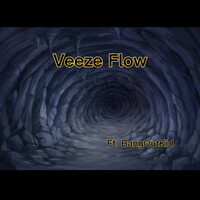 Thumbnail for the Cardo - Veeze Flow link, provided by host site