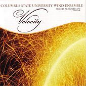 Image of Columbus State University Wind Ensemble linking to their artist page due to link from them being at the top of the main table on this page